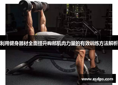 利用健身器材全面提升胸部肌肉力量的有效训练方法解析