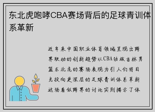 东北虎咆哮CBA赛场背后的足球青训体系革新