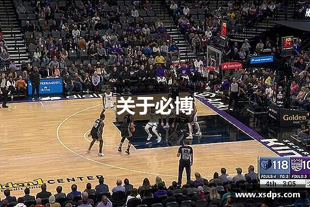 关于必博